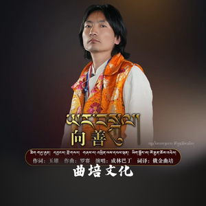 向善