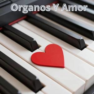 Organos Y Amor