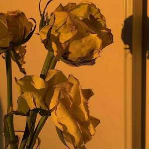 我用什么把你留住