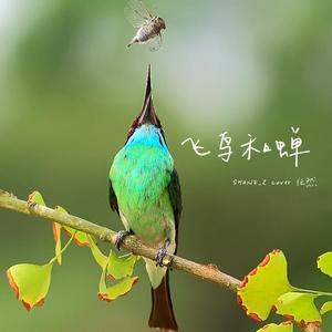 飞鸟&蝉（翻自 ran）