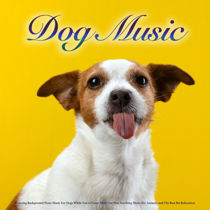 Music For Dogs