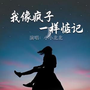 我像疯子一样惦记着你（DJ版）