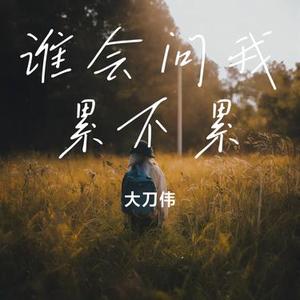 谁会问我累不累（Cover 于洋）