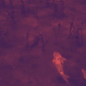 安静的自然声音