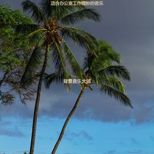 适合在家里工作悦耳的音乐