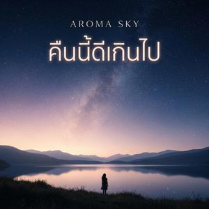 คืนนี้ดีเกินไป