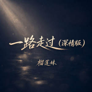 一路走过(深情版)