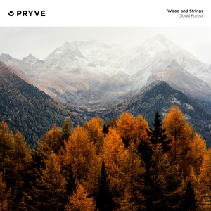 Rose Coloured Glasses