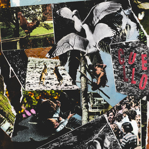 Te Vas de Lado Siempre