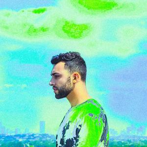 crazy talk (ZANKY Remix)