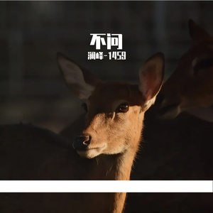 《星河与萤火》