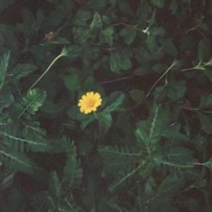 03-6-12(Prod by.李桑野)