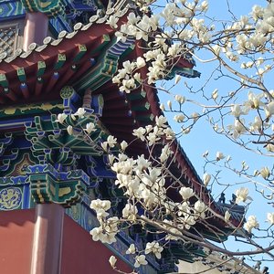 海底气泡水_转换.wav