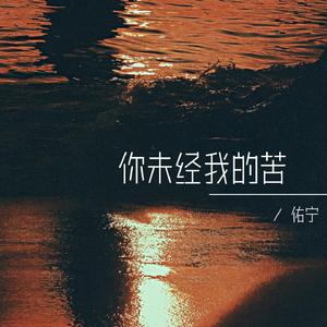 你未经我的苦