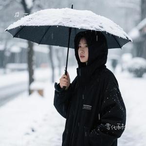 雪化雨未归