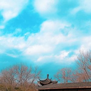 梦中的彩虹 轻夏