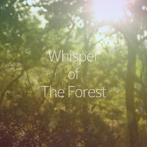 Whisper Of The Forest