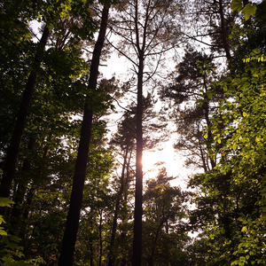 Zaprowadź Mnie Do Domu