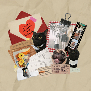 爱情不是我强项