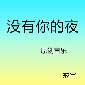 没有你的夜