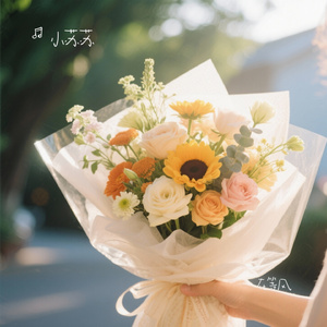 在等风（小苏苏 Remix）