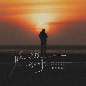 晚风吹散我的情 (DJ阿诺版)