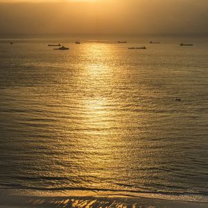 云端永不凋零的花_01