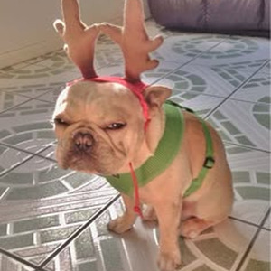 Cudi Montage (nightcore)