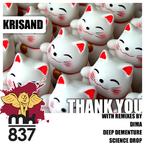 Thank You (Science Drop Remix)