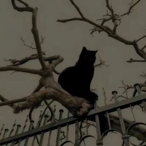 雨（prod.STORMY）