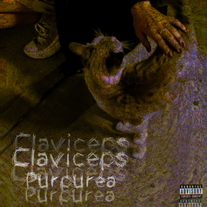 Claviceps purpurea