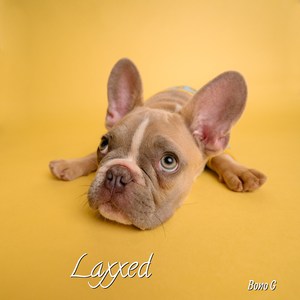 Laxxed