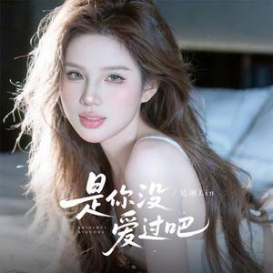 是你没爱过吧 (DJ 豪豪版)0.9x版