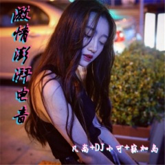 队形给我排好摇起来 (DJ版)
