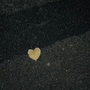 你是我的陷阱(prod.by Morrow)