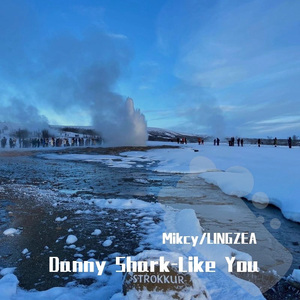 Danny Shark-Like You（LINGZEA / Mikcy remix）