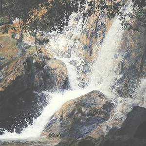 תן לי הכוס מיין מר