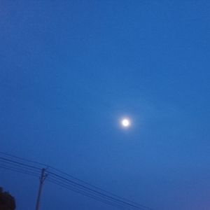 Born a Stranger(生而陌路）