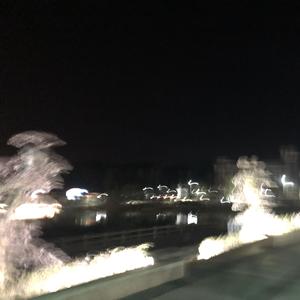 有一种悲伤（cover：刘以豪）（翻自 A-Lin）