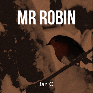 Mr Robin