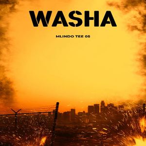 Washa