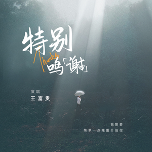 特别鸣谢