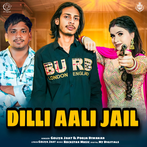Dilli Aali Jail