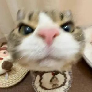 第57次取消发送