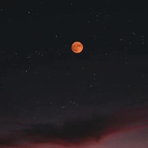 美卷入画（翻自 小可乐）