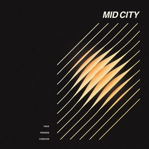 Fake Friends Forever