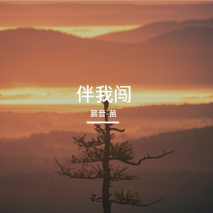 伴我闯