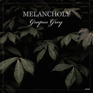 Melancholy (Original Mix)