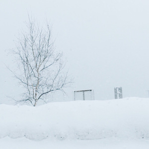 月亮代表我的心（Cover 陈芬兰）