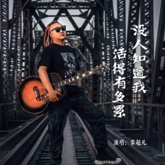 没人知道我活得多累